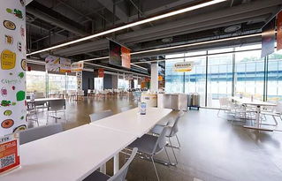 揭秘互聯網巨頭食堂 從京東美食城到網易豬廠，不止是員工福利