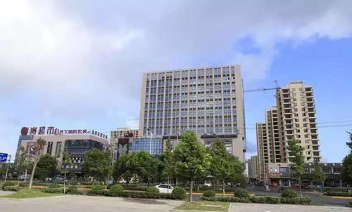 海鹽錦繡商業(yè)中心 售樓信息全解析與電子商務技術(shù)服務融合展望